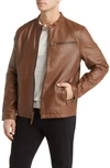 Frye Men's Classic Leather Cafe Racer Jacket In Chocolate Brown