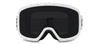 Celine Studded Webbing-trimmed Goggles In Grey