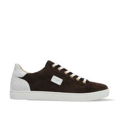 Dolce & Gabbana Suede Sneakers In Neutrals