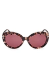 Tom Ford Guilliana Acetate Cat-eye Sunglasses In Havana Gradient Bordeaux