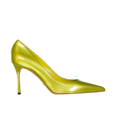 Sergio Rossi Leather Pumps In Green