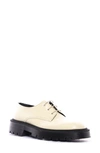 The Row Ranger Derby Sneaker In Esh Eggshel