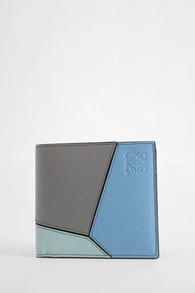 Loewe Man Multicolor Wallets & Cardholders