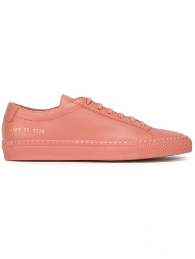 Common Projects Classic Lace-up Trainers In Pink