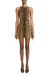 Saint Laurent Leopard Print Belted Mini Dress In Leopard