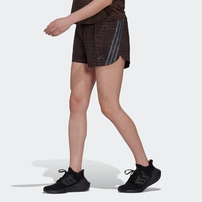 Adidas Originals Women's Adidas Run Icons 3-stripes Crocodile Print Running Shorts In Black