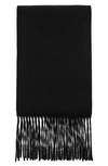 THE ROW VICTOIRE CASHMERE SCARF