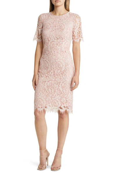 Vince Camuto Lace Midi Dress In Blush
