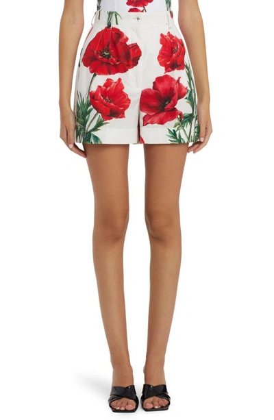 Dolce & Gabbana 罂粟印花棉质府绸短裤 In White,red