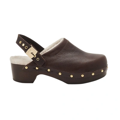 Scholl Pescura Robin Shoes In 1011 Brown