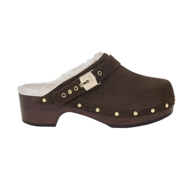 Scholl Pescura Lena Shoes In 1011 Brown