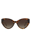 Kate Spade New York Paisleigh 55mm Gradient Cat Eye Sunglasses In Havana/ Brown