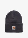 Carhartt Hat In Blue