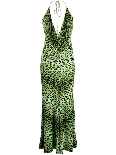 Roberto Cavalli Leopard-print Halterneck Dress In Green
