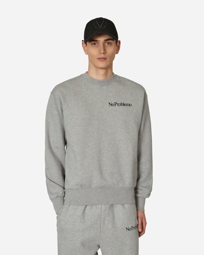 Aries Gray Mini Problemo Sweatshirt In Grey