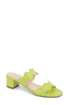 PATRICIA GREEN PALM BEACH SLIDE SANDAL