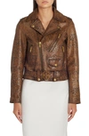 Golden Goose Black Vintage-effect Leather Perfecto Biker Jacket In Leopard Tannin/ Black