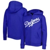 Outerstuff Youth Royal Los Angeles Dodgers Wordmark Full-zip Fleece Hoodie In Royal