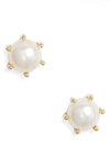 Kendra Scott Ashton Pearl Stud Earrings In Gold White Pearl