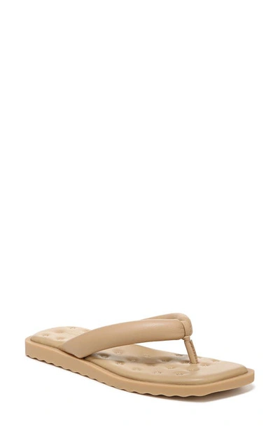 Vince Serene Padded Flat Thong Sandals In Beige