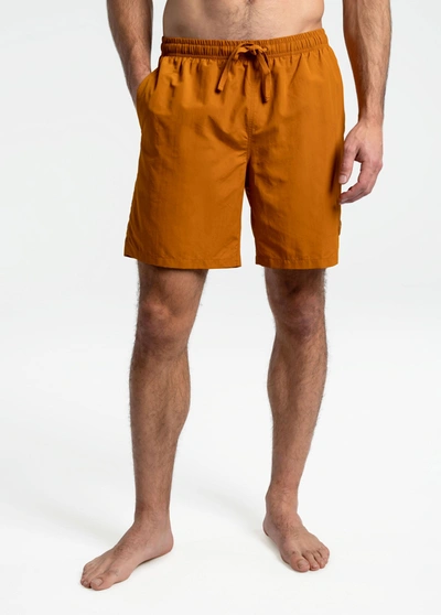 Lole Cove Swim Trunks In Sepia