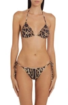 Dolce & Gabbana Leopard Print Two-piece Swimsuit In Lghbrownpr