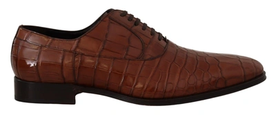Dolce & Gabbana Brown Crocodile Leather  Formal Derby Shoes