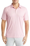 Swannies Eddie B Golf Polo In Flamingo