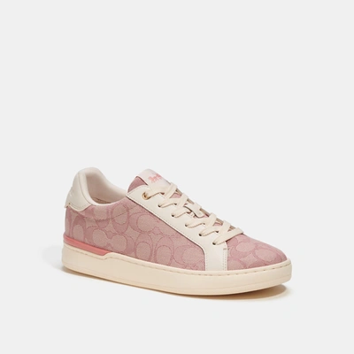 Coach Outlet Clip Low Top In Signature Jacquard In Pink
