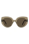Loewe Oversized Acetate Butterfly Sunglasses In Brown Green