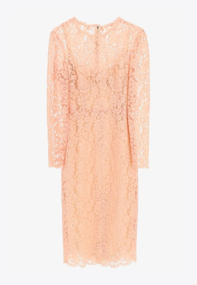 Dolce & Gabbana Cordonetto Lace Midi Dress In Pink