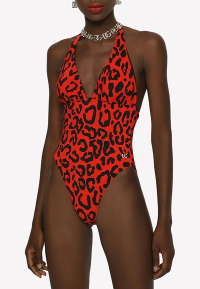 Dolce & Gabbana Carnation-print One-piece Swimsuit In Red