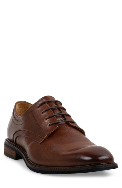 Steve Madden Nando Derby In Brandy