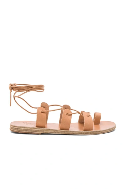 Ancient Greek Sandals X Ilias Lalaounis Alcyone Leather Sandals In Tan
