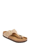 Birkenstock Gizeh Big Buckle Sandal In Sandcastle