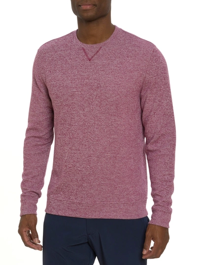 Robert Graham Bassi Long Sleeve Knit In Berry