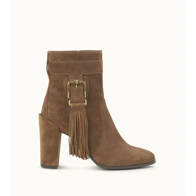 Tod's Ankle Boots In Suede In Brown