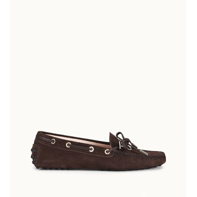 Tod's Gommino Driving Shoes In Suede In Brown