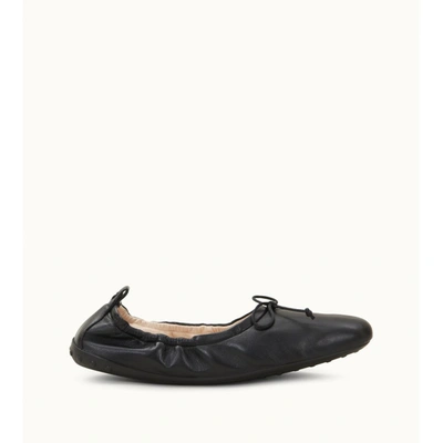 Tod's Ballerinas In Leather In Black