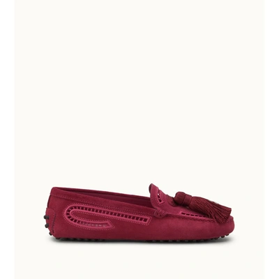 Tod's Gommino Driving Shoes In Suede In Pink