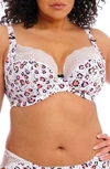 ELOMI LUCIE FULL FIGURE UNDERWIRE PLUNGE BRA