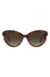 Kate Spade New York Paisleigh 55mm Gradient Cat Eye Sunglasses In Havana/ Brown Gradient