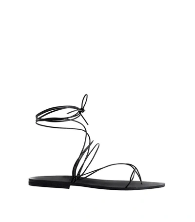 Maria Farro Aelia Sandals In Black