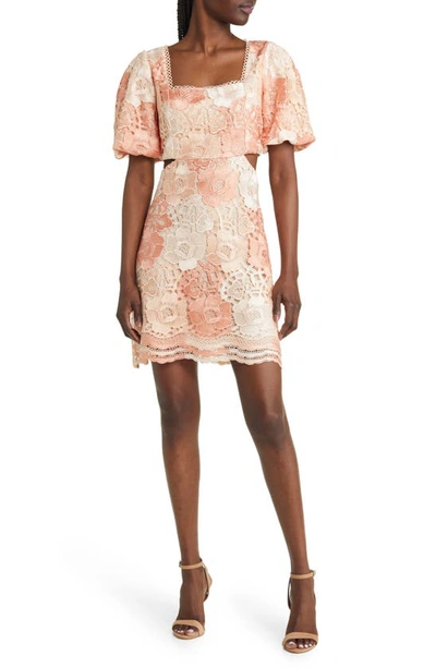 Adelyn Rae Giselle Ombré Lace Cutout Minidress In Coral