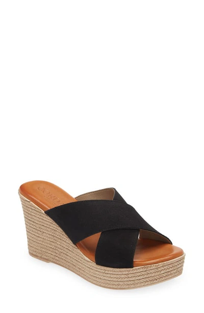 Cordani Braylin Espadrille Wedge Sandal In Black Suede