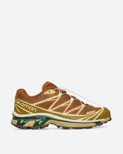 Salomon Xt-6 Sneakers In Lizard
