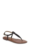 Sam Edelman Gigi Sandal In Black New
