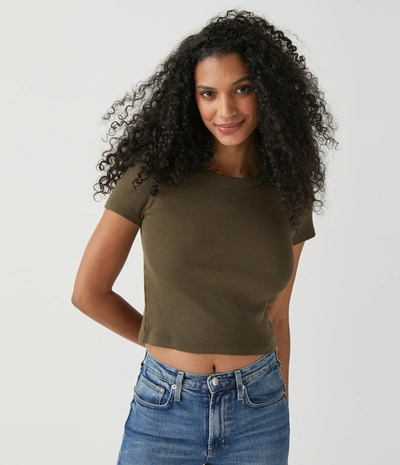 Michael Stars Mimi Cropped Tee In Dolma