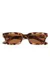 Aire Sculptor 50mm Rectangular Sunglasses In Tort / Brown Mono