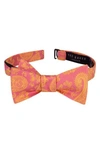 TED BAKER PREAKNESS PAISLEY SILK BOW TIE